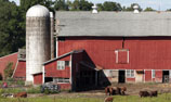 farm income barn