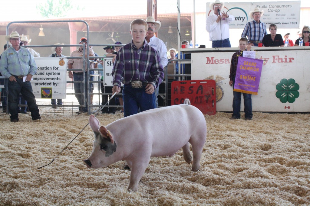 Twelve-year-old Coby Hudson is an FSA Youth Loan recipient who raised a grand championship pig.
