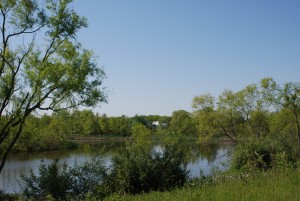 6.6 acres of restored wetland
