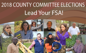 FSA County Committee Nomination Period Opens June 15