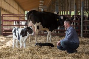 Dairy Producers Receive a Boost from USDA