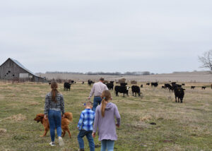 Jesse and his three children have backs to the camera and are walking toward a cattle herd